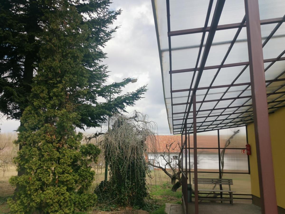 Ferienwohnung Podlovics Tanya Panzio Kemecse Exterior foto